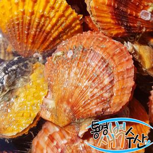 통영 비단가리비 1kg+1kg