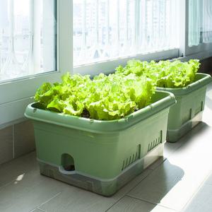 대용량 화분 집에서 딸기 대파 상추 키우기 베란다 옥상 텃밭 만들기 화분통 배양토