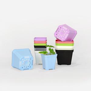 파스텔 미니 슬릿화분 삽목 제라늄 플라스틱화분  마이플랜트