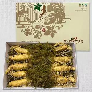 풍기인삼 6년근 500g 원수삼(8~10뿌리)