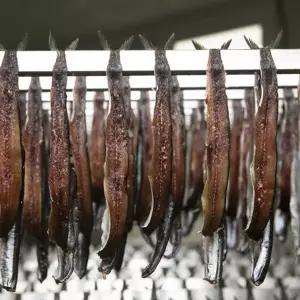 반손질 꽁치 햇 과메기 단품 5미(10쪽)