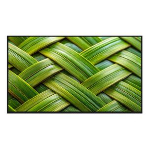 LG전자 OLED55C4ENA 각도조절 벽걸이 올레드 evo 55인치 4K UHD TV 전국추가비용없음 대성가전