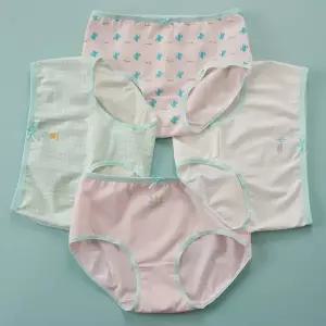 [빌도르] 삼각 칵투스 4매 여아 주니어 초등학생 중학생 여학생 팬티 세트