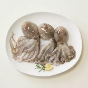 생물 주꾸미 100g