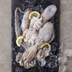 [냉동][중국] 살아있을 때 급냉한 낙지 (3~4미 내외, 500g)