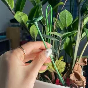 [하프클럽/셀러허브_여성트랜드패션]지지대 식물 원형 화분 17cm 지지대