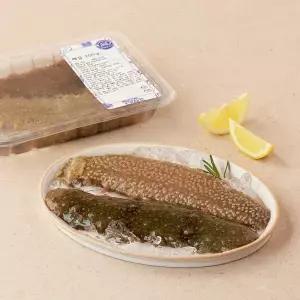 [생물][국산] 남해안 해삼 (200g)