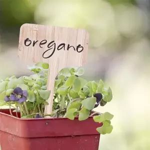 [하프클럽/셀러허브_여성트랜드패션]우드 식물 화분 꽃 이름표 팻말 DD-11638