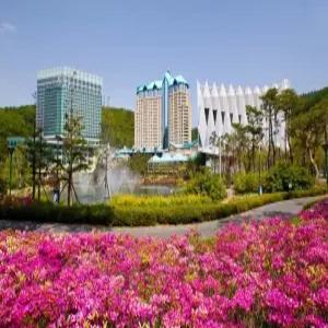 [강원] 하이원리조트 그랜드호텔 컨벤션타워(강원랜드호텔)(강원, 정선)