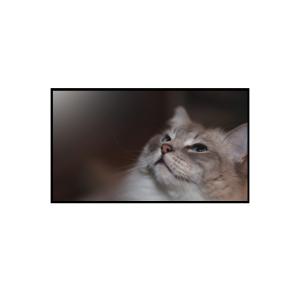 LG전자 올레드 evo AI OLED48C5KNA 스탠드형 무료배송 세븐