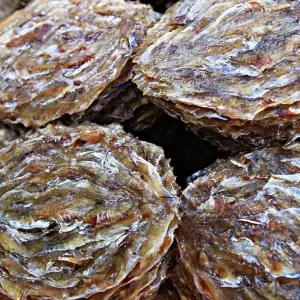 대용량 대왕 참쥐포(3L) 안주 간식 쥐포 특대 800g (약20장)