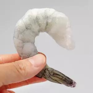 생칵테일새우 1kg 특품 21/25 26/30 31/40 41/50