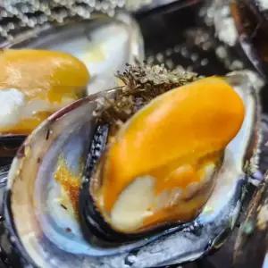 자연산 홍합 담치 섭 6kg