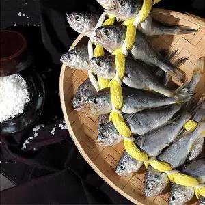 성지 영광 법성포 엮걸이 굴비20미(1.2kg내외/17~19cm내외)