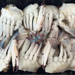 국내산 절단 손질 꽃게 800g