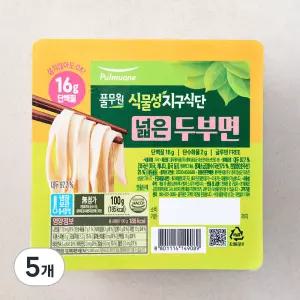 식물성지구식단 두부면 넓은면 100g 5개