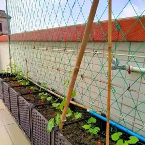 넝쿨망 그물망 원예 오이망 덩굴 호박망 유인망 텃밭