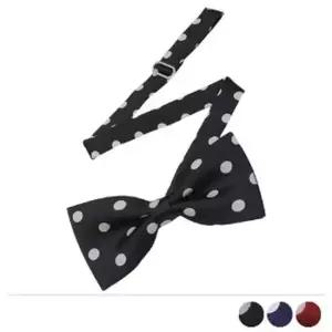 BTIE19023 큐티 빅도트 보타이 정장악세 예복코디 결혼소품 촬영소품 예식보타이 예복보타이