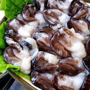 남해안 여수 특품 손질 새조개 500g