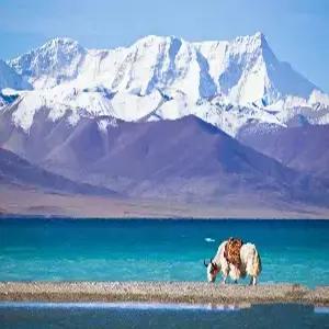 티벳[라싸]/서안 5일 #5성급호텔 #쓰루가이드 #국내선이용 #포탈라궁 #얌드록쵸 #바코르광장 #티베트고원 #힐링여행