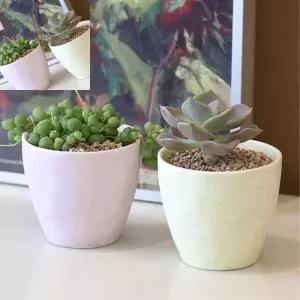 다타 다육이화분 도자기컵흙세트 실내용책상장식용 파스텔 도자기 다육식물