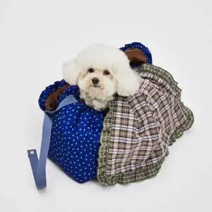 [롯데백화점]루이독 파자마 슬링백/블루밍 모닝 Petit