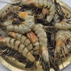 자연가득 연안 급냉 자연산 대하 1kg 20-30미 내외