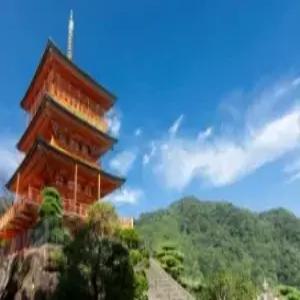 [10명선착순/수요초특가] 오사카/교토/와카야마 4일 #힐링간사이여행 #바다향가득 #자연이만들어낸장관 #산단베키 #센조지키 #고양이역장 #타마전차 #감성가득교토 #아라시야마 #교토필수 #기요미즈데라