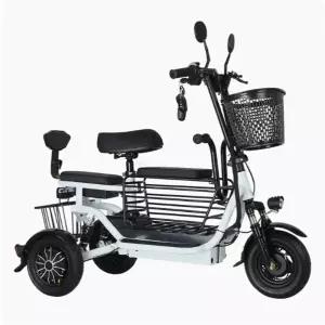 스쿠터 전동 삼륜 전기 3륜 노인 세발 어르신 바이크