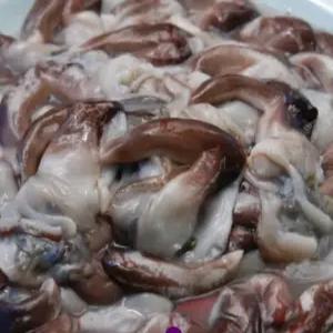 남당항새조개 여수 새조개 샤브샤브 (프리미엄 특상품 손질새조개살 200g)