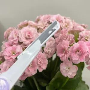 마켓헤라 일자형 눈썹정리 눈썹칼 3P 눈썹정리기 눈썹다듬기