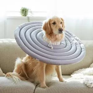 대형견 넥카라 강아지 애견 깔대기 리트리버 진돗개 3XL~5XL