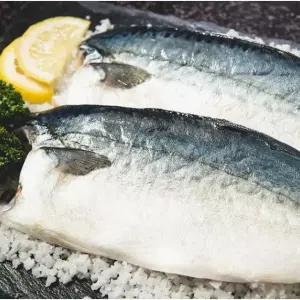 국내산 특 안동간고등어 130gx10팩