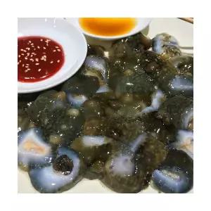 통영 자연산 활 해삼 참해삼 1kg 당일채취