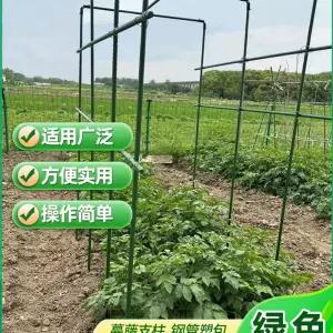 넝쿨 지지대 온실 과수원 식물 호박 스탠드 덩쿨 오이 거치대 분재