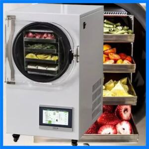 대형 과학적 자동 식품 동결 건조기 하인 냉장 챔버(진공 펌프 포함) 수확용