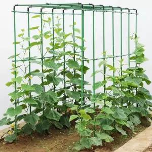텃밭 호박 지주대 꽃 식물 지지대 넝쿨 토마토 포도나무 철제 가지 조립식 농사