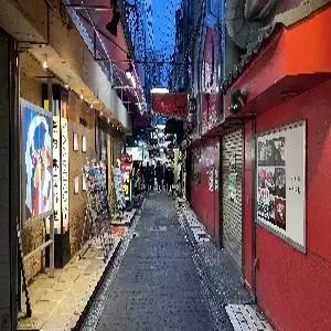 [출발확정] [4명이상 출발확정] 월드체인 쉐라톤 고베/오사카/교토 4일 #1일자유 in KOBE #온천여행 #쉐라톤숙박 #3인실OK #교토레트로 #란덴열차 #고베황홀야경