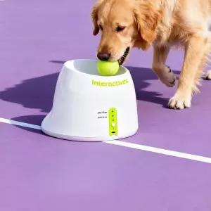 강아지 셀프 공 자동 공발사 장난감 공놀이 발사기 기계 테니스 운동 노는 애견 머신 필수