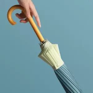 16살 장우산 튼튼한 자동 남성 여성