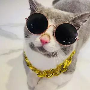 반려동물 촬영 체인 조절 소품 불독 금목걸이 액세서리 사이즈