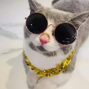 [골드스마일]반려동물 촬영 체인 조절 소품 불독 금목걸이 액세서리 사이즈