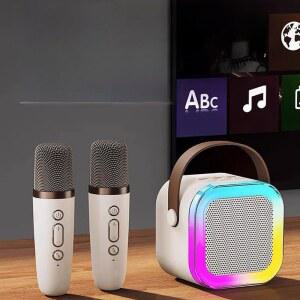 가정용 노래방 기계 버스킹 소형 듀얼마이크 17인치 64G메모리 10인치우퍼 usb