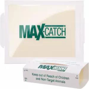 캐치마스터 맥스 캐치 마우스 곤충 트랩 36pk 가정용 실내 벌레 잡기용 끈적끈적한 해충 방제 접착 트레이