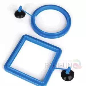 열대어먹이그릇 사료 피딩컵 물고기 먹이용기 구피 트레이 새우 급여 그릇 어항 사료컵