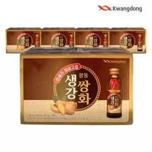 광동 생강쌍화차 갈근 생강 쌍화 120ml 10병 5개 GST