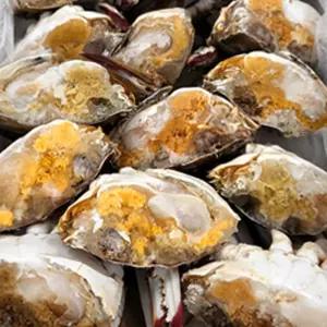 특품 하프절단 암꽃게 급냉 연평도 당일조업 급냉 맛과 영양 그대로 단단하고 단맛