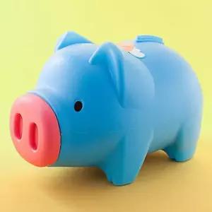 TBZ 분홍코 청색 돼지저금통 왕대 귀여운느낌 감성문구