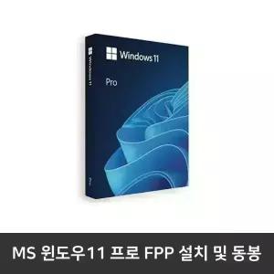 15ZD95U-GX79K 추가옵션 / 윈도우11 프로 FPP 설치 및 동봉