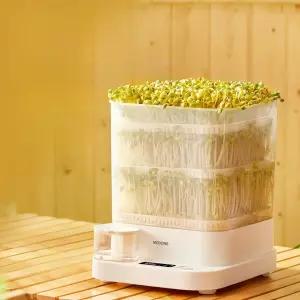 콩나물 가정용 자동 키우기 녹두 무순 재배기
